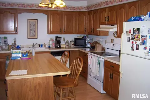 1691 E Myrtle St, Canton, IL 61520 photo 8