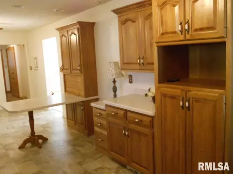 506 Linn, Benson, IL 61516 photo 8