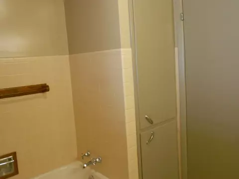 506 Linn, Benson, IL 61516 photo 18