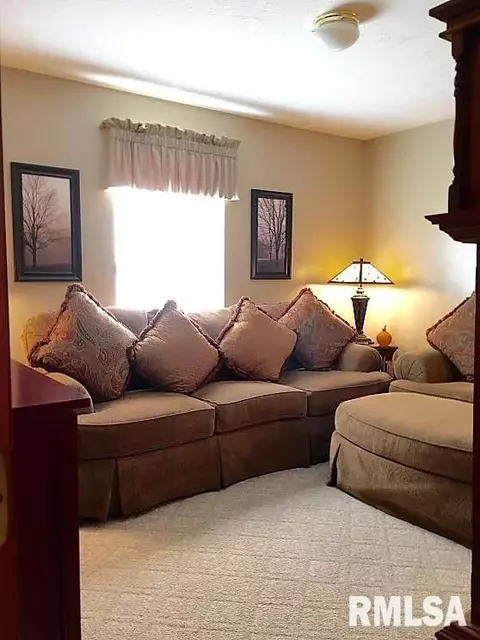 201 W Grn, Secor, IL 61771 photo 27