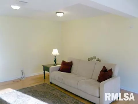 1343 N Forrest Dr, Metamora, IL 61548 photo 19