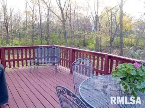 1343 N Forrest Dr, Metamora, IL 61548 photo 26