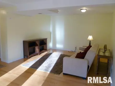 1343 N Forrest Dr, Metamora, IL 61548 photo 20