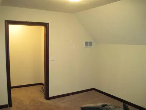 305 E 3rd St, Delavan, IL 61734 photo 20