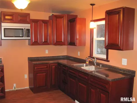 305 E 3rd St, Delavan, IL 61734 photo 13