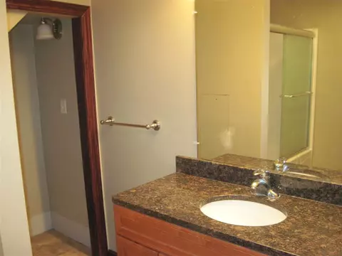305 E 3rd St, Delavan, IL 61734 photo 27