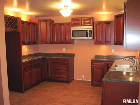 305 E 3rd St, Delavan, IL 61734 photo 11