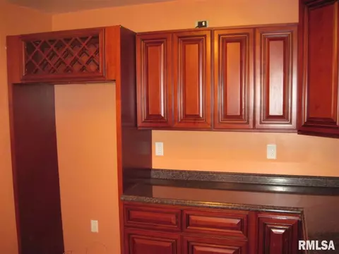 305 E 3rd St, Delavan, IL 61734 photo 14
