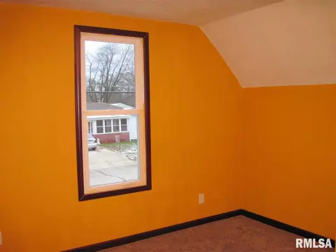 305 E 3rd St, Delavan, IL 61734 photo 24