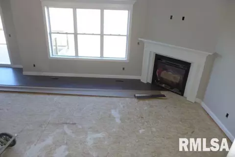 3311 W Boulder Point Ct, Dunlap, IL 61525 photo 5