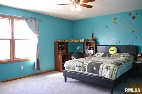 11211 N Jonathans Way, Dunlap, IL 61525 photo 18