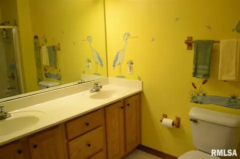 11211 N Jonathans Way, Dunlap, IL 61525 photo 20