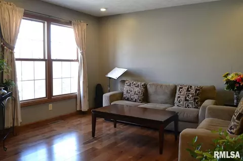 11211 N Jonathans Way, Dunlap, IL 61525 photo 3
