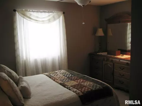 909 E Madison St, Metamora, IL 61548 photo 18