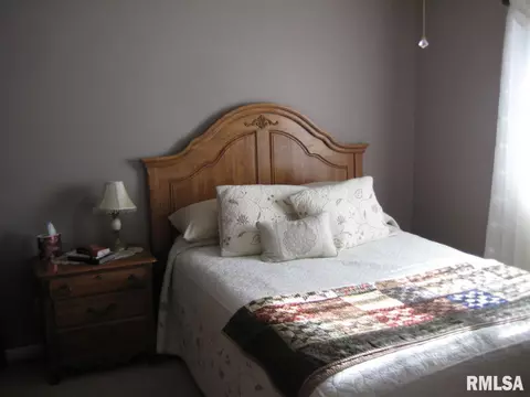 909 E Madison St, Metamora, IL 61548 photo 15