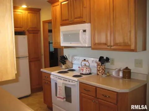 909 E Madison St, Metamora, IL 61548 photo 10