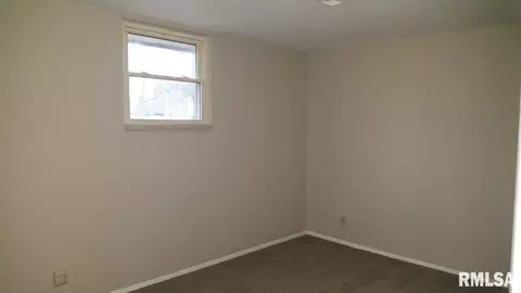411 E Manor Dr, Metamora, IL 61548 photo 11