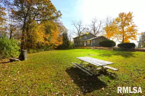 4111 W Simpson Dr, Dunlap, IL 61525 photo 28