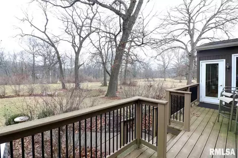 325 E Lakeshore Drive Dr, Edelstein, IL 61526 photo 35