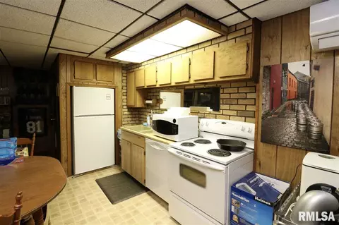 325 E Lakeshore Drive Dr, Edelstein, IL 61526 photo 18
