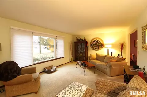 325 E Lakeshore Drive Dr, Edelstein, IL 61526 photo 2