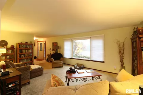 325 E Lakeshore Drive Dr, Edelstein, IL 61526 photo 3