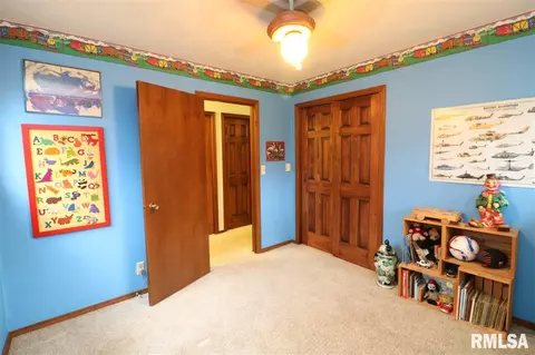 325 E Lakeshore Drive Dr, Edelstein, IL 61526 photo 23