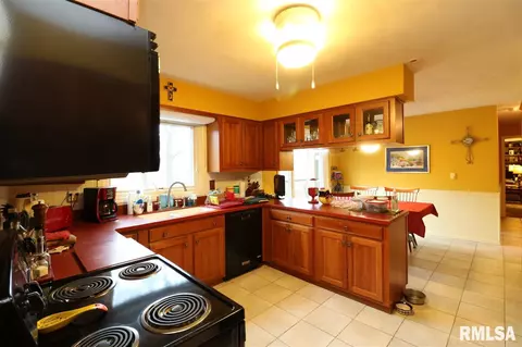 325 E Lakeshore Drive Dr, Edelstein, IL 61526 photo 6