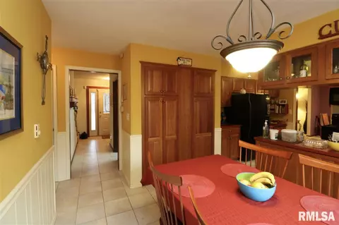 325 E Lakeshore Drive Dr, Edelstein, IL 61526 photo 11