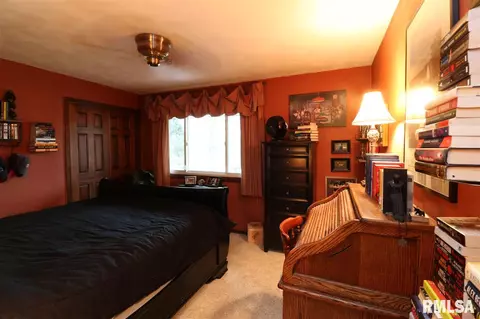 325 E Lakeshore Drive Dr, Edelstein, IL 61526 photo 25