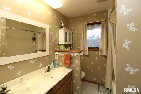325 E Lakeshore Drive Dr, Edelstein, IL 61526 photo 24