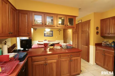 325 E Lakeshore Drive Dr, Edelstein, IL 61526 photo 9
