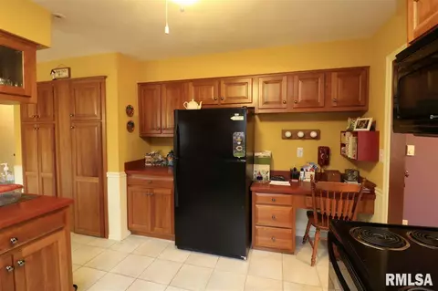 325 E Lakeshore Drive Dr, Edelstein, IL 61526 photo 8