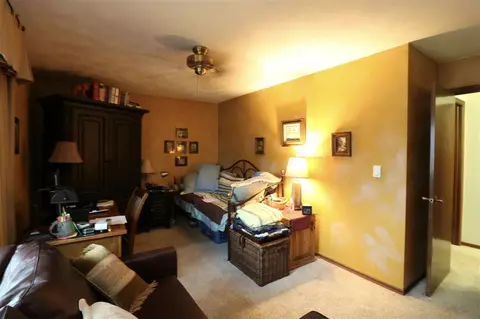 325 E Lakeshore Drive Dr, Edelstein, IL 61526 photo 27