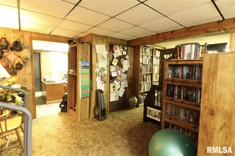 325 E Lakeshore Drive Dr, Edelstein, IL 61526 photo 19