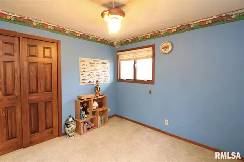 325 E Lakeshore Drive Dr, Edelstein, IL 61526 photo 22