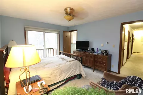 325 E Lakeshore Drive Dr, Edelstein, IL 61526 photo 29