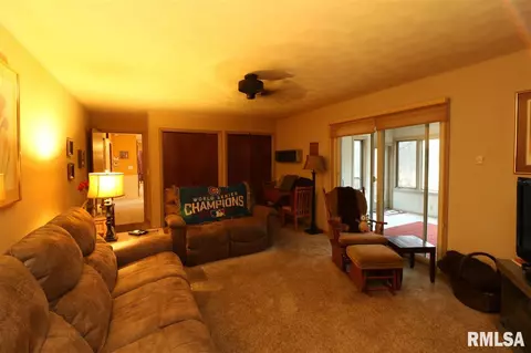 325 E Lakeshore Drive Dr, Edelstein, IL 61526 photo 14