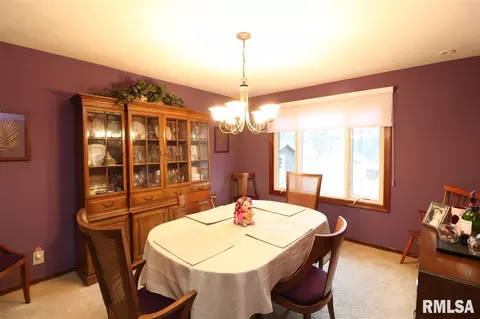 325 E Lakeshore Drive Dr, Edelstein, IL 61526 photo 4