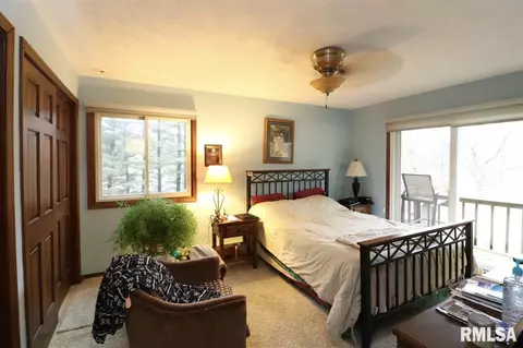 325 E Lakeshore Drive Dr, Edelstein, IL 61526 photo 28