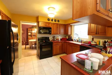 325 E Lakeshore Drive Dr, Edelstein, IL 61526 photo 7