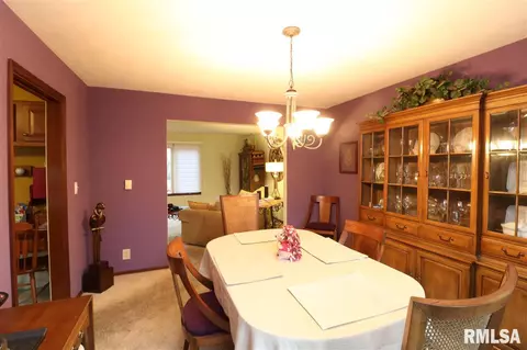 325 E Lakeshore Drive Dr, Edelstein, IL 61526 photo 5