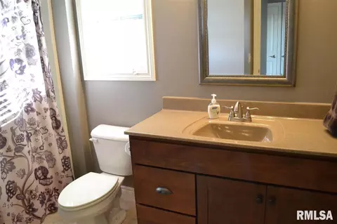 2518 W Alabaster Ave, Dunlap, IL 61525 photo 22
