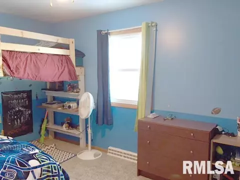 1410 E Ash, Canton, IL 61520 photo 14