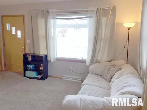 1410 E Ash, Canton, IL 61520 photo 3