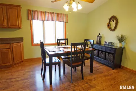 10511 W Sir Tristram Ct, Mapleton, IL 61547 photo 11