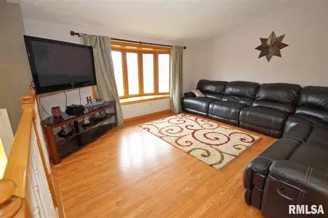 10511 W Sir Tristram Ct, Mapleton, IL 61547 photo 8
