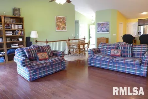 102 W Hillside Ct, Dunlap, IL 61525 photo 9