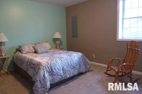 102 W Hillside Ct, Dunlap, IL 61525 photo 18