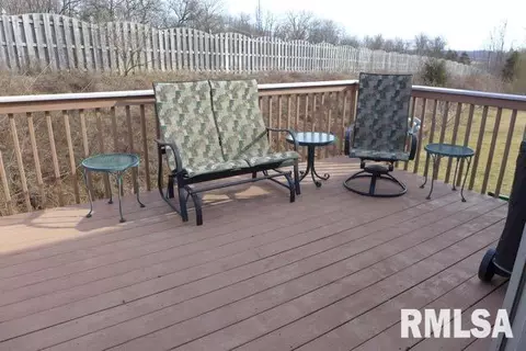 102 W Hillside Ct, Dunlap, IL 61525 photo 19